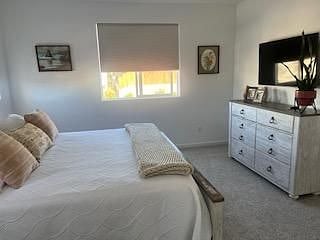 Large Master Bedroom with TV, black out shades & ceiling fan