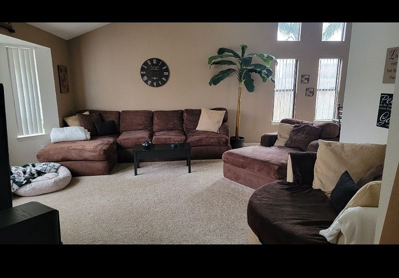 Furnished Finder property 556766_1 photo 8