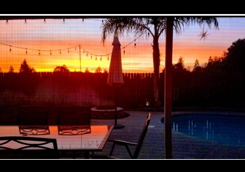 Furnished Finder property 556766_1 photo 12