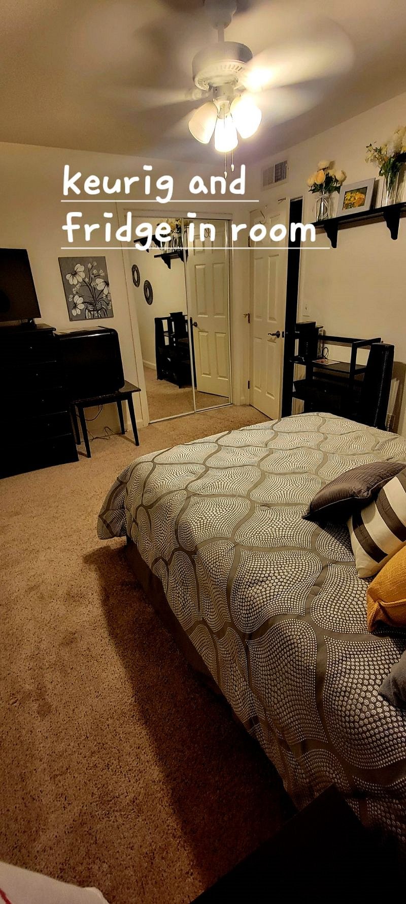 Furnished Finder property 556766_1 photo 5