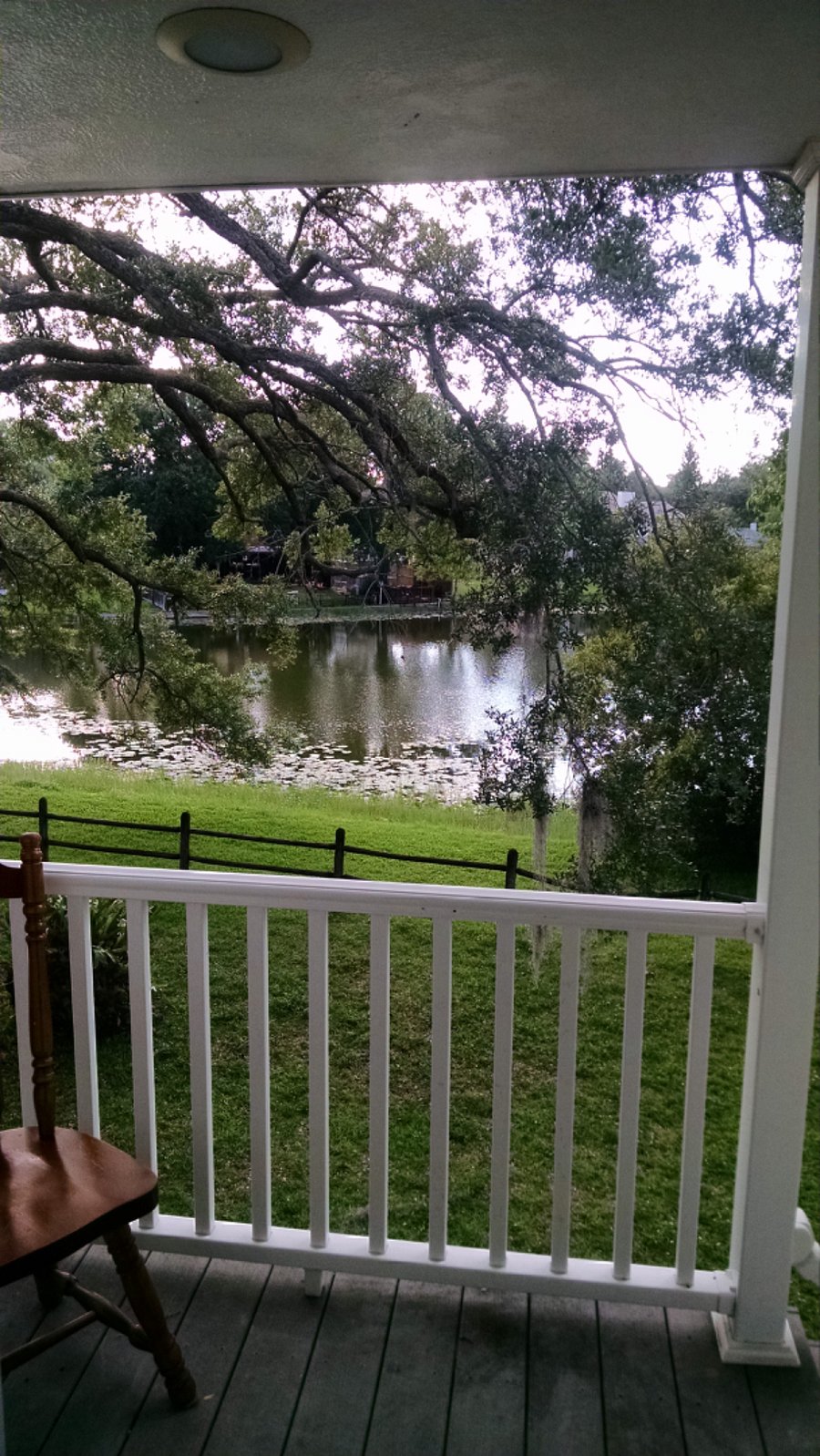 Furnished Finder property 556814_1 photo 22