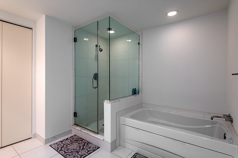Ensuite master bathroom shower and hot tub