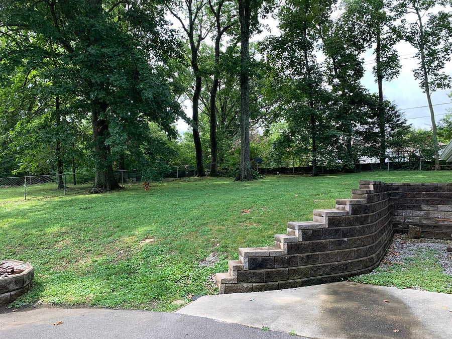 View of our backyard!