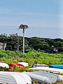 Furnished Finder property 557017_1 photo 17