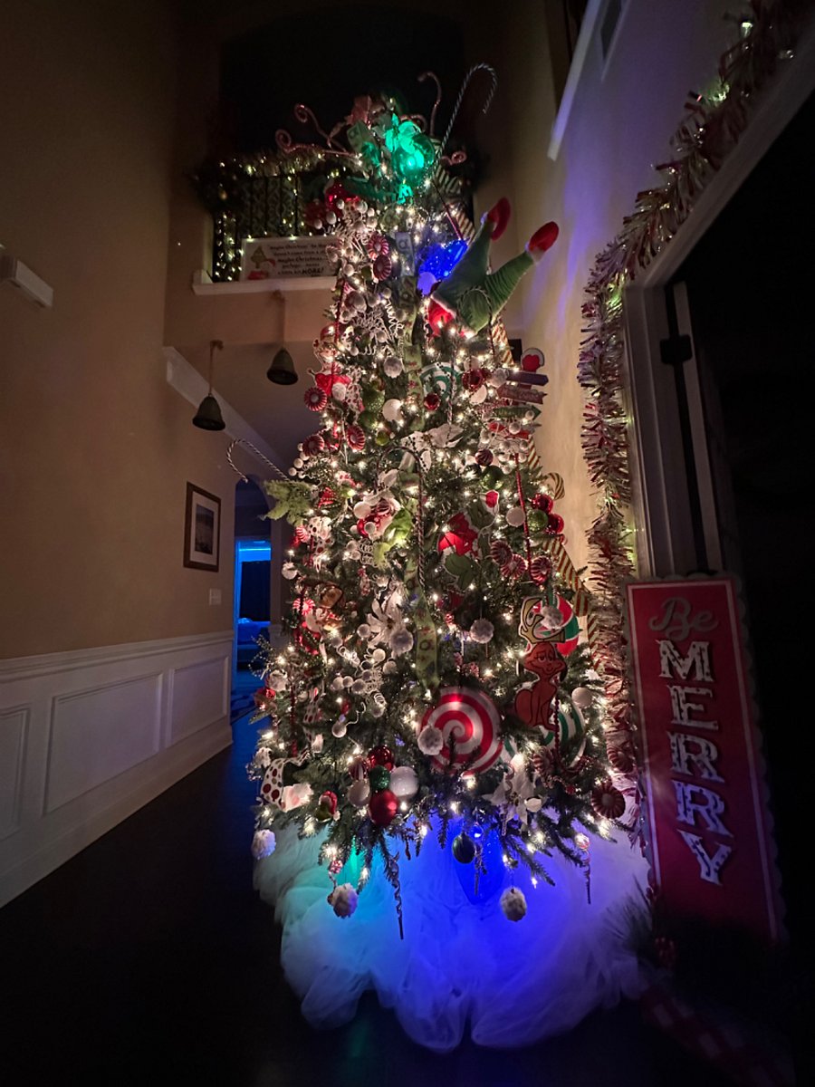 2023 Christmas Tree in Foyer 