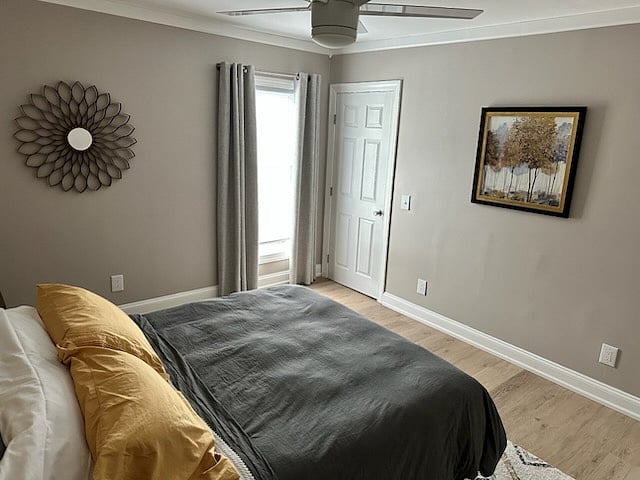 Furnished Finder property 557193_2 photo 6