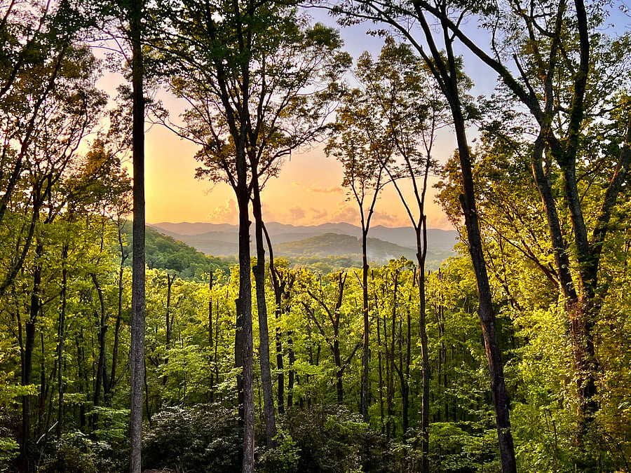 Western facing sunset views every evening await.