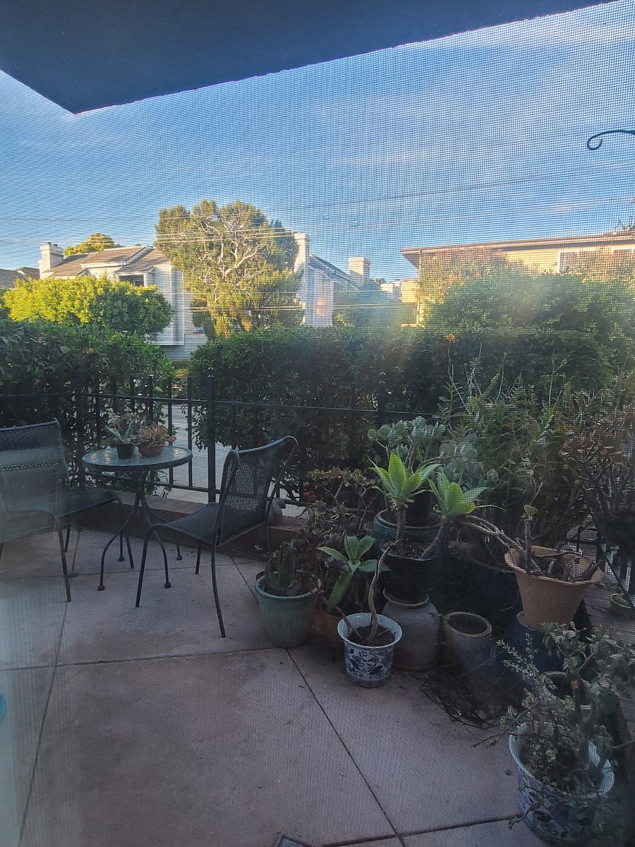 Furnished Finder property 557601_1 photo 6