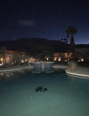Furnished Finder property 557701_1 photo 16