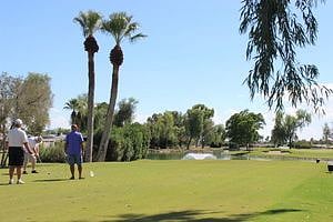 8 golf courses in the Sun City area.