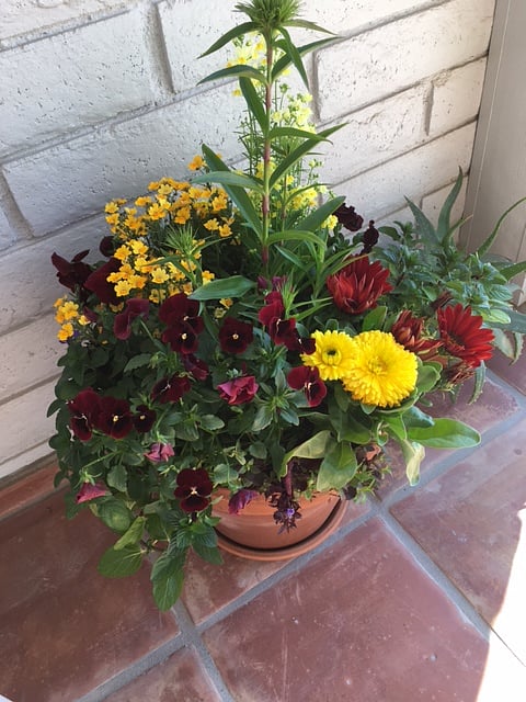 If you like, you may plant flower pots starting in the Fall season. Owner will provide pots and fresh potting soil.