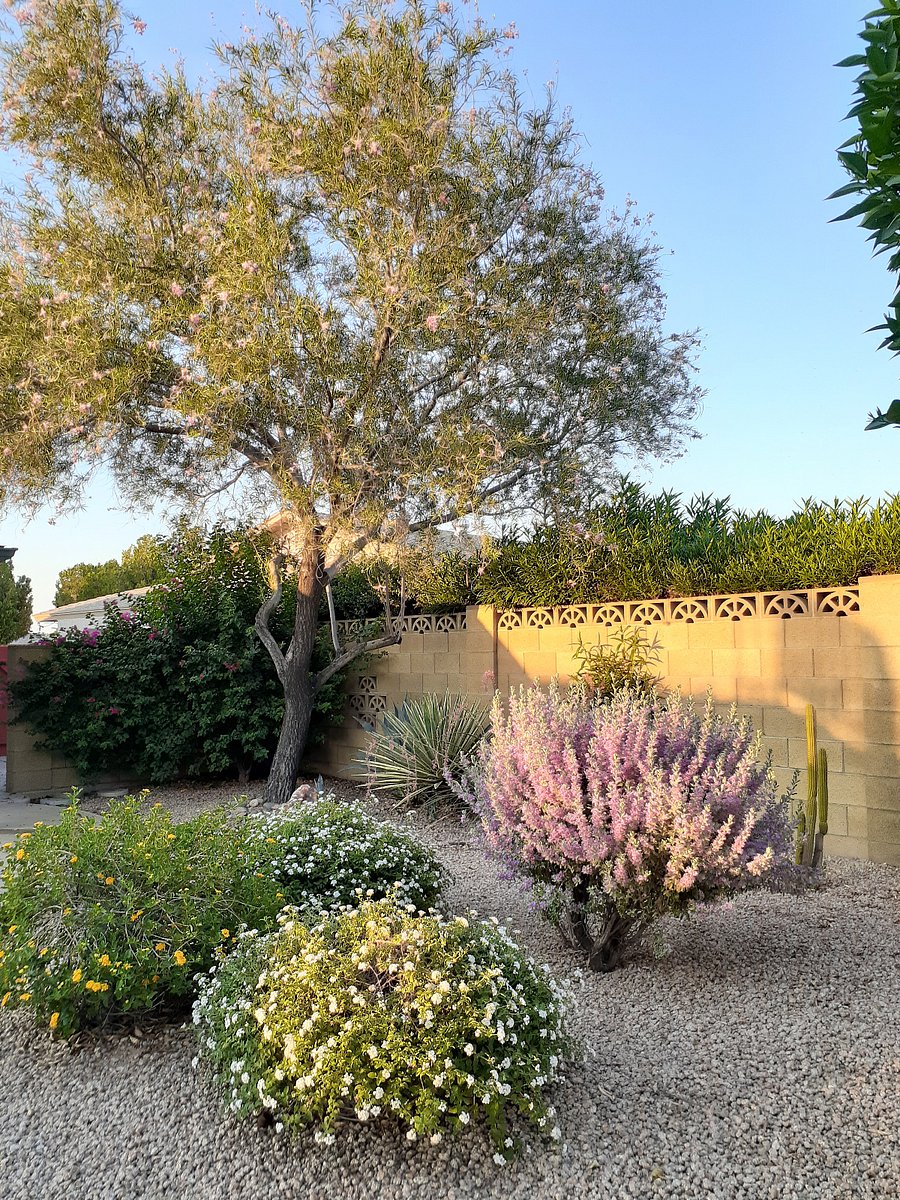 Furnished Finder property 557715_1 photo 21