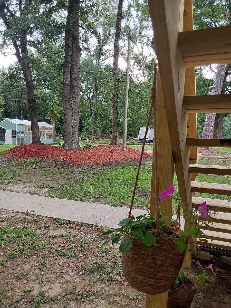 Furnished Finder property 557722_1 photo 31
