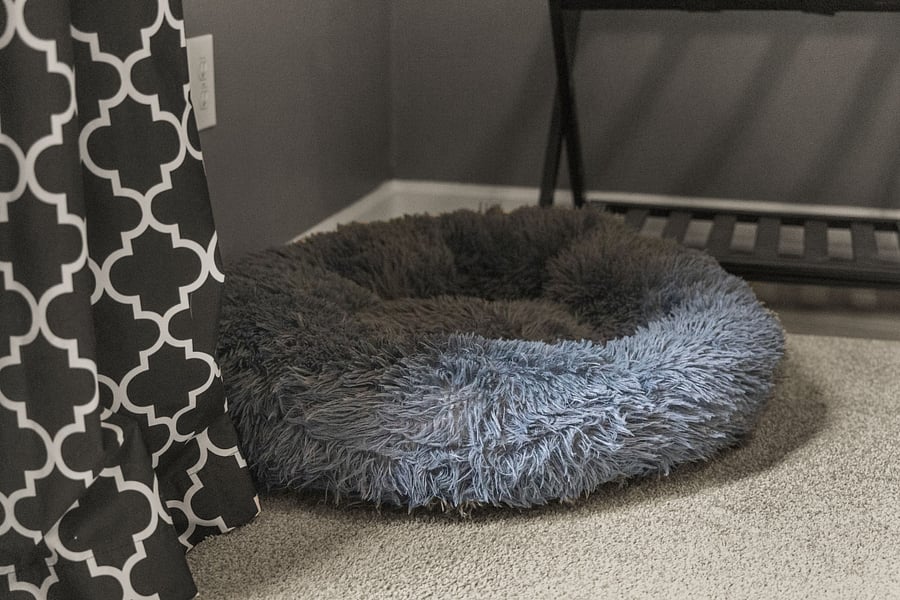 Pet Bed