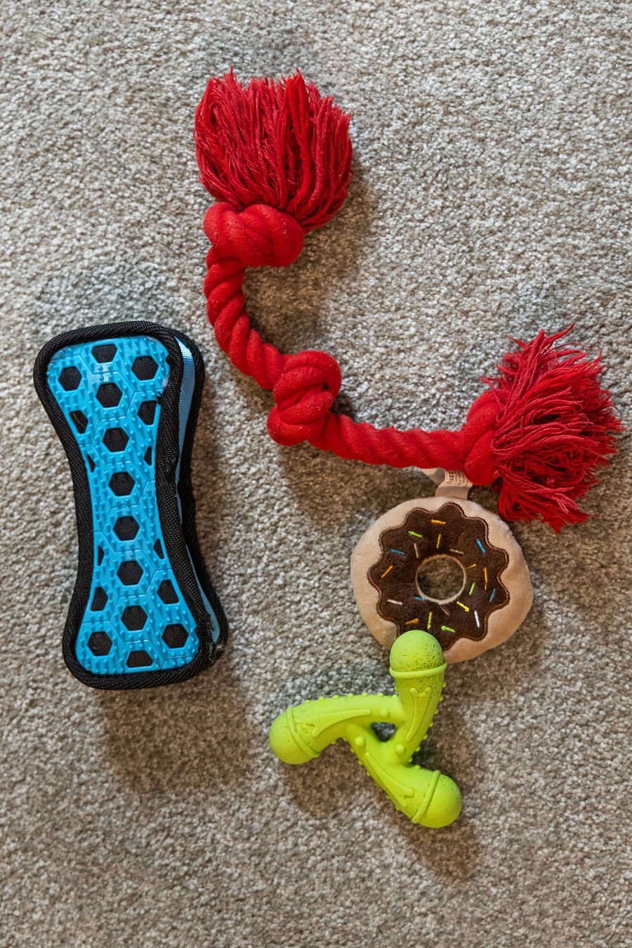 Dog Toys