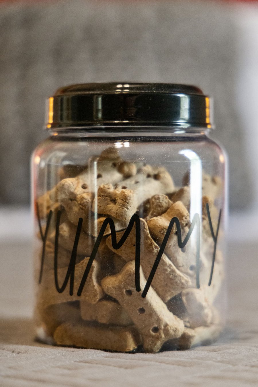 Dog Treats