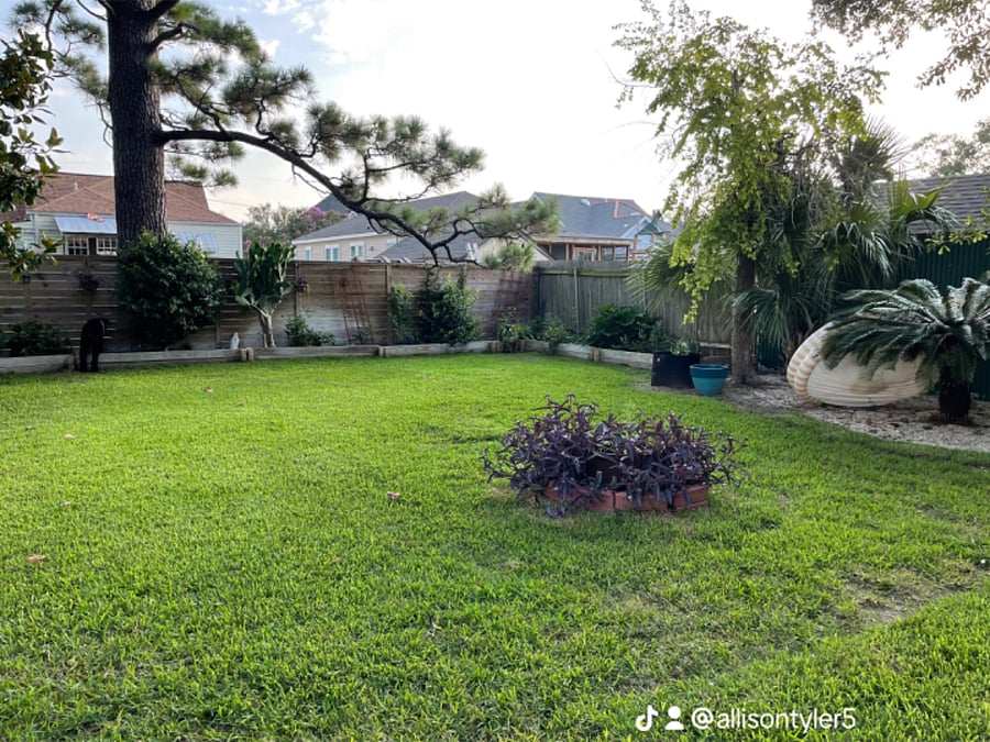 Furnished Finder property 557865_1 photo 26