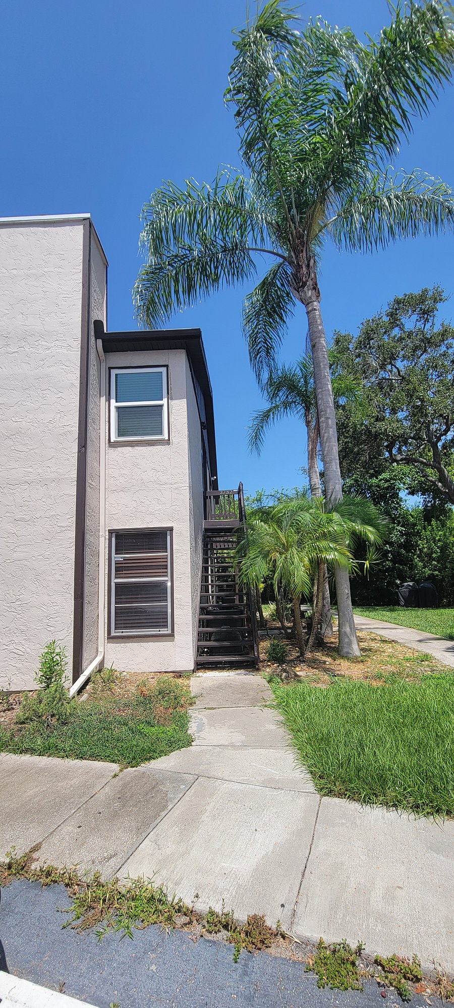 Furnished Finder property 557909_1 photo 41