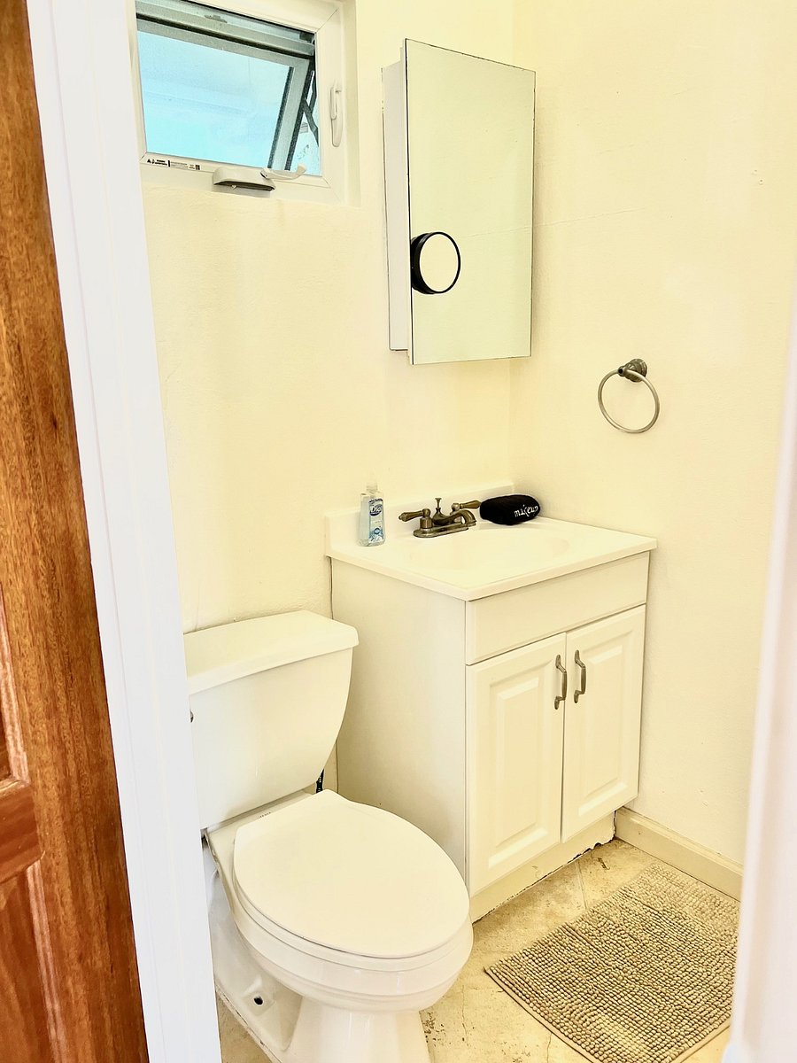 1/2 bath w/ storage and medicine cabinet with peekaboo window to an interior garden
