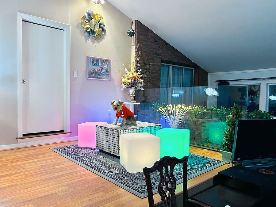 Furnished Finder property 558004_1 photo 11