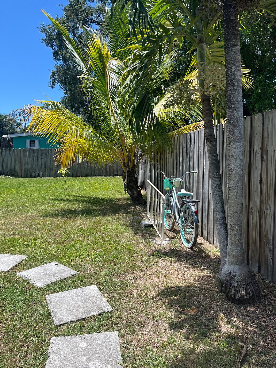 Fenced backyard with bike rack