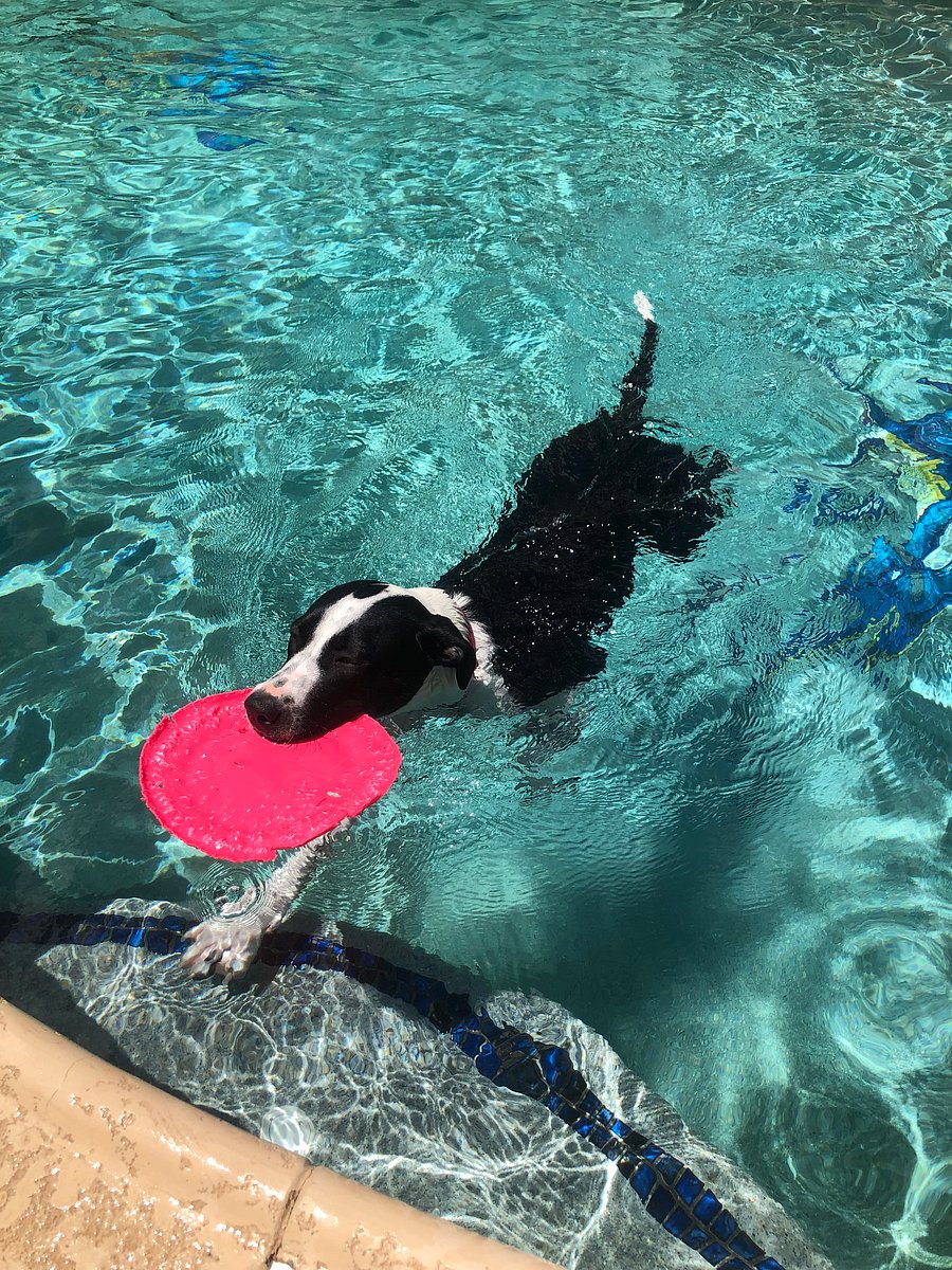 Furnished Finder property 558053_1 photo 11