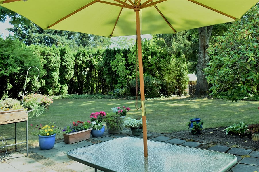 Back Yard view.