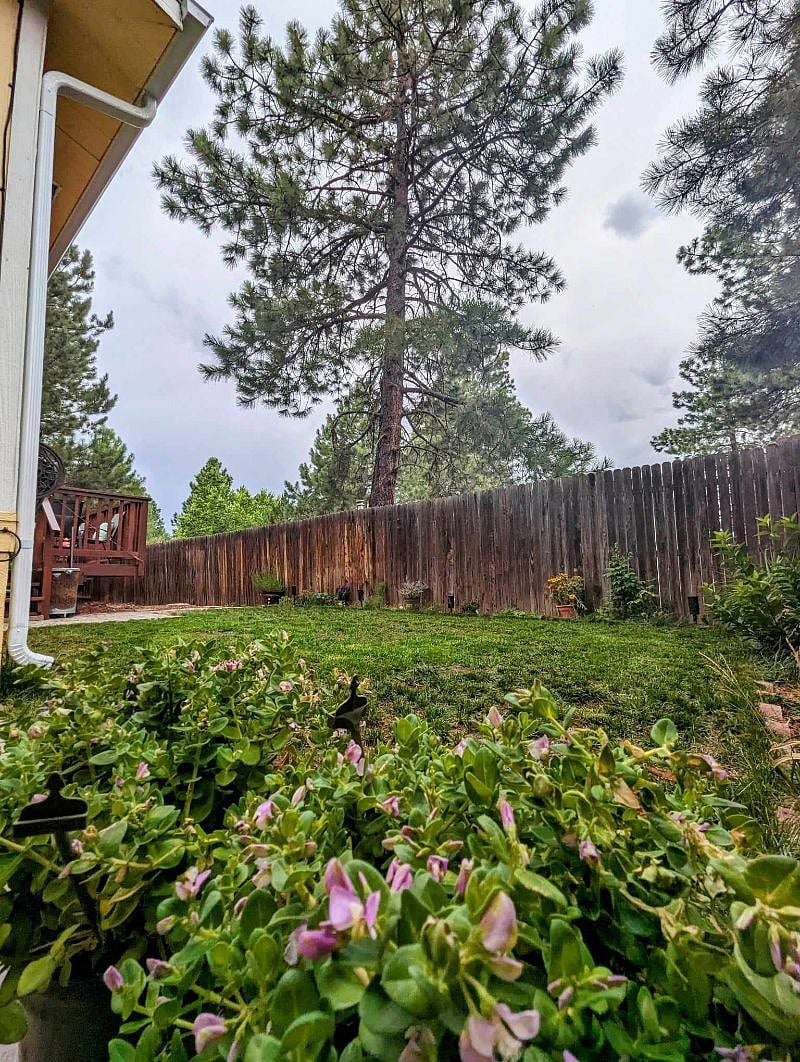Furnished Finder property 558169_3 photo 21