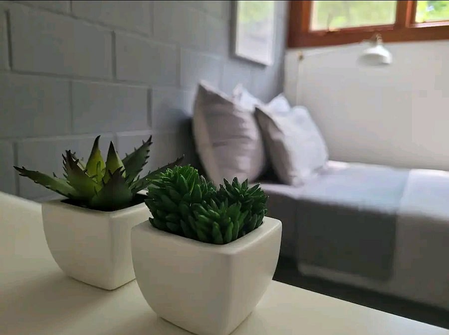 Furnished Finder property 558250_1 photo 12