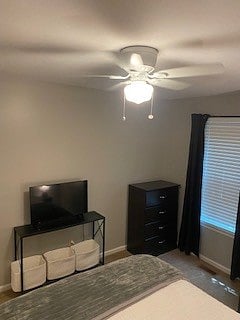Furnished Finder property 558386_1 photo 14