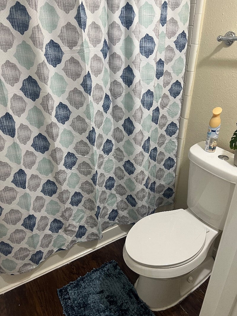 Furnished Finder property 558419_1 photo 11