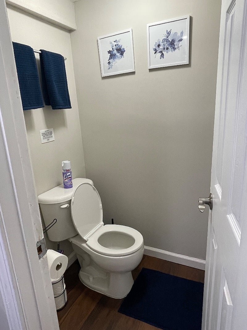Furnished Finder property 558488_1 photo 10