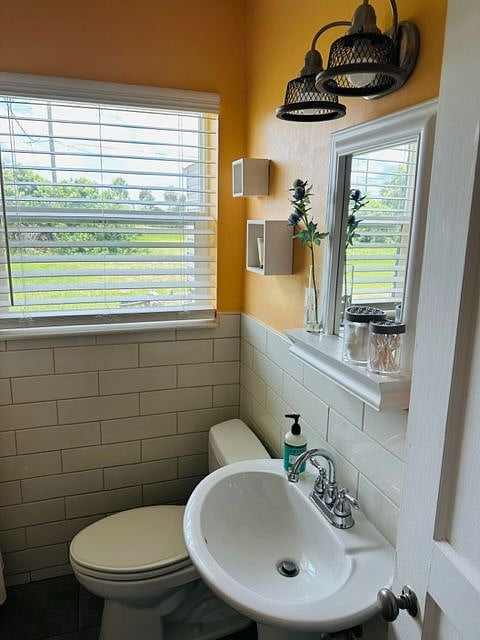 Furnished Finder property 558623_1 photo 19