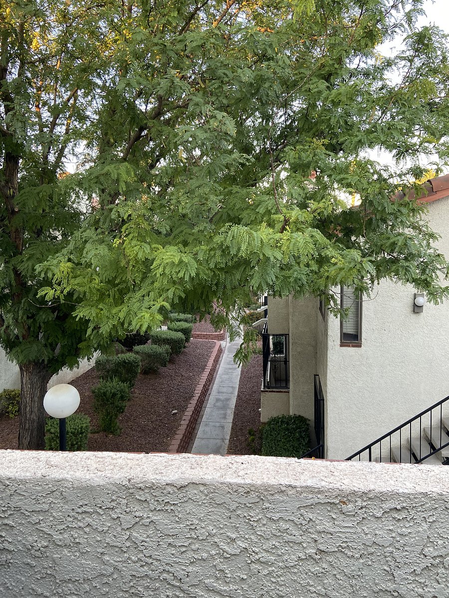 Furnished Finder property 558679_1 photo 12