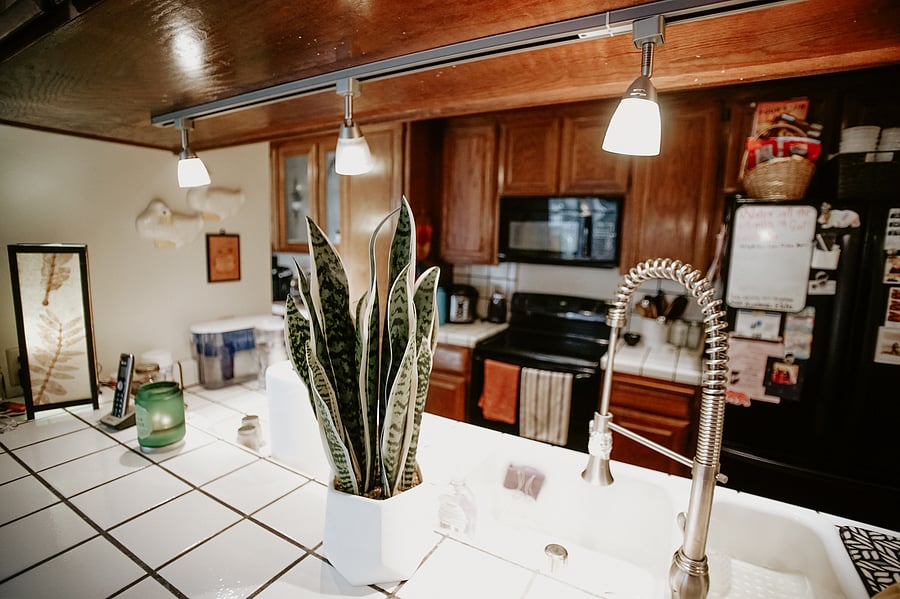 Furnished Finder property 558737_1 photo 6
