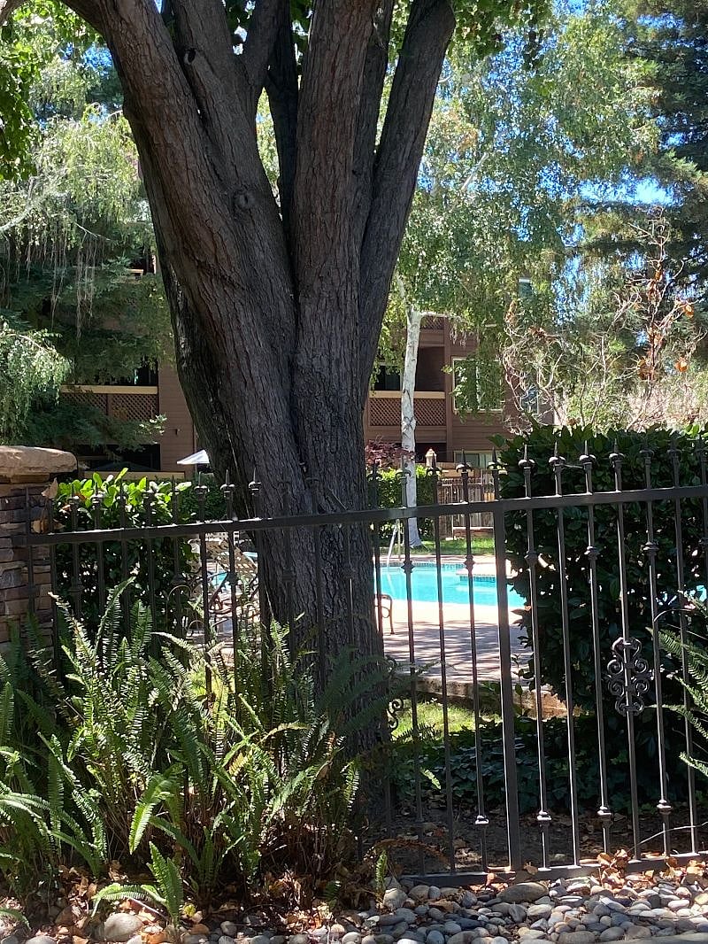 Furnished Finder property 558949_1 photo 15
