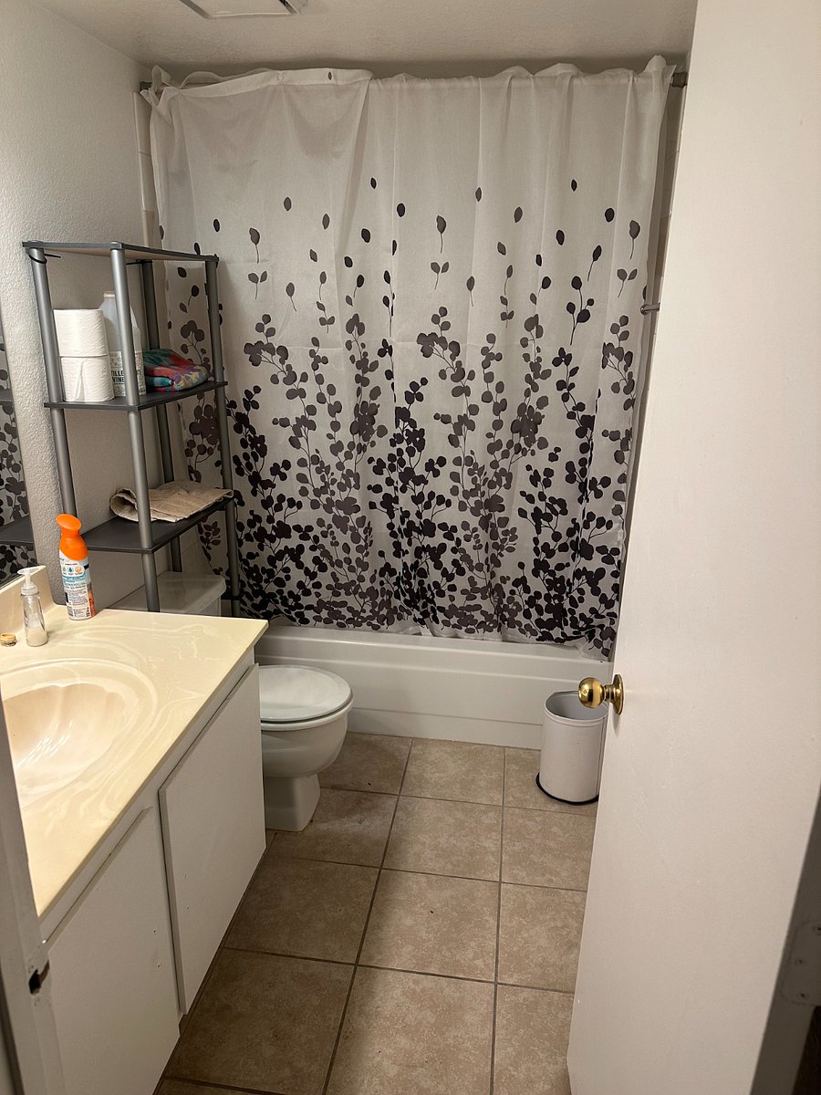 Furnished Finder property 558975_1 photo 4