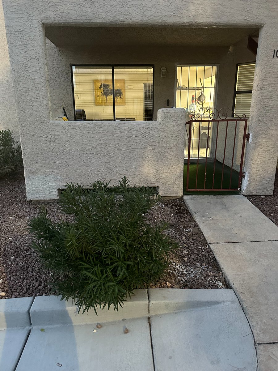 Furnished Finder property 558975_1 photo 6