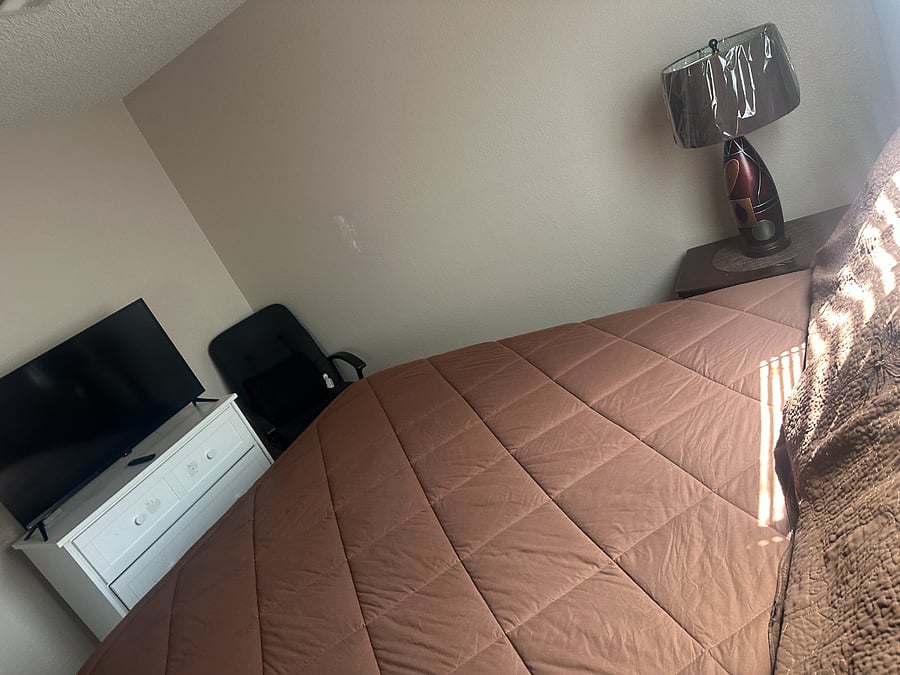 Furnished Finder property 558975_1 photo 10