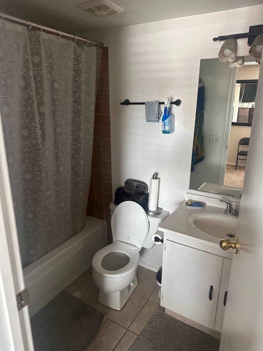 Furnished Finder property 558975_1 photo 12