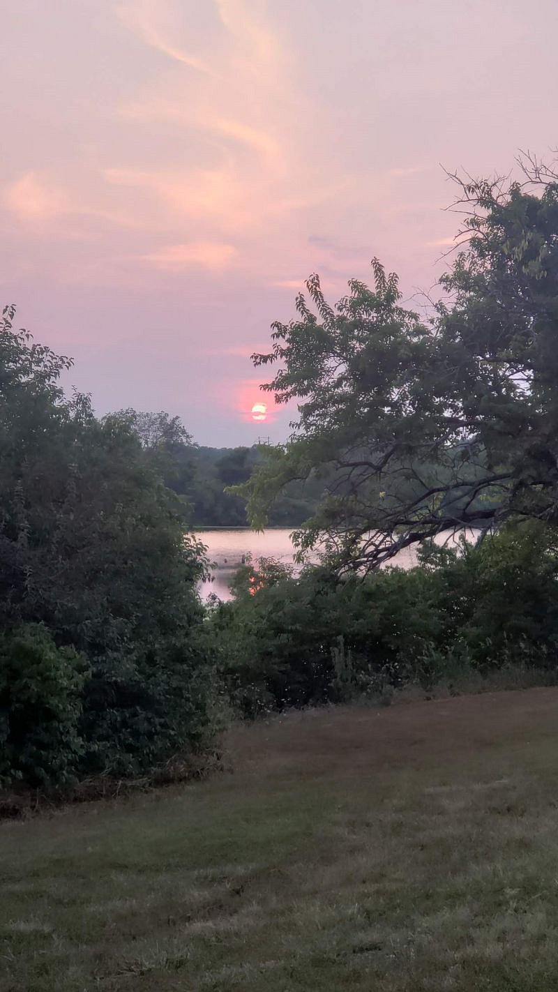 Summer sunset