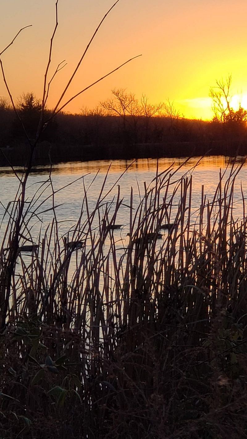 Lots of opportunities for nature watching