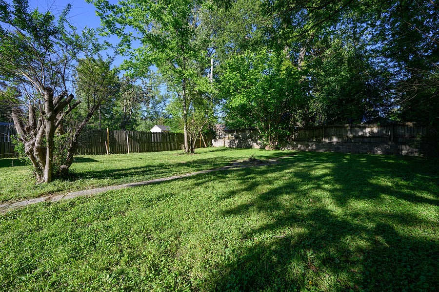 Backyard