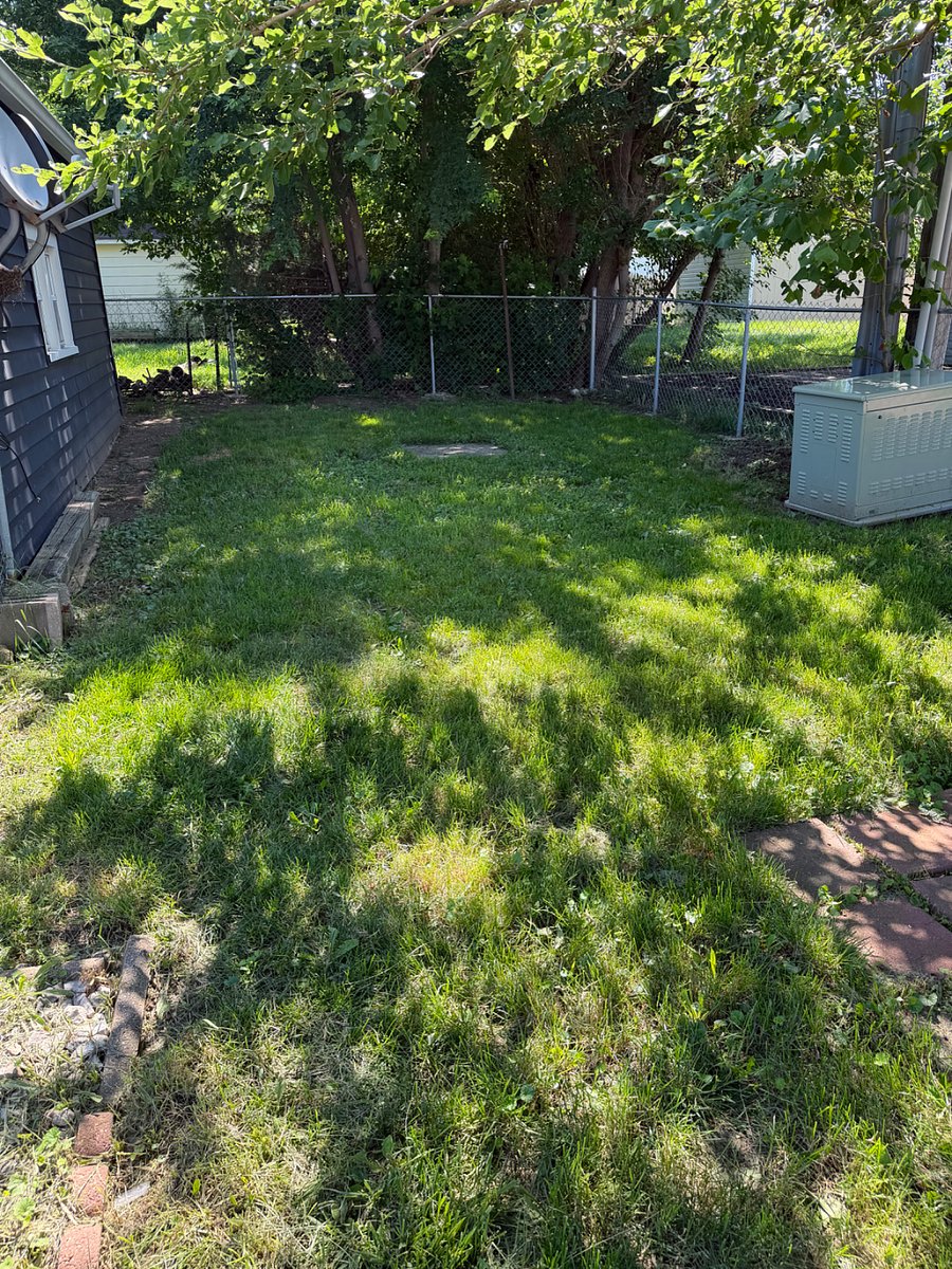 Furnished Finder property 559216_1 photo 16