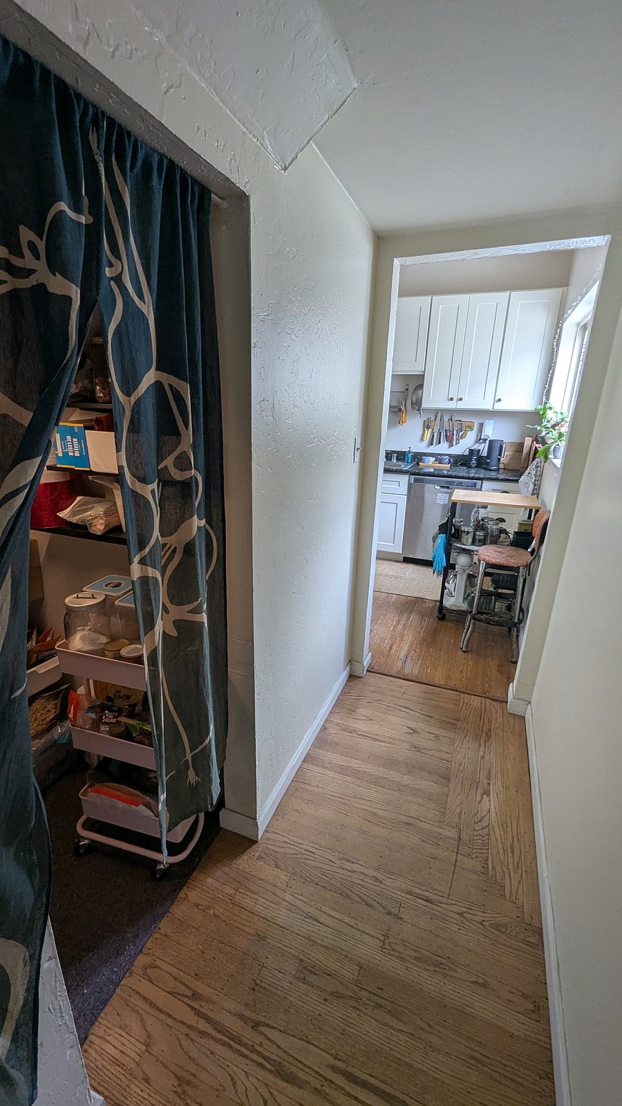Hallway to kitchen with pantry on the left