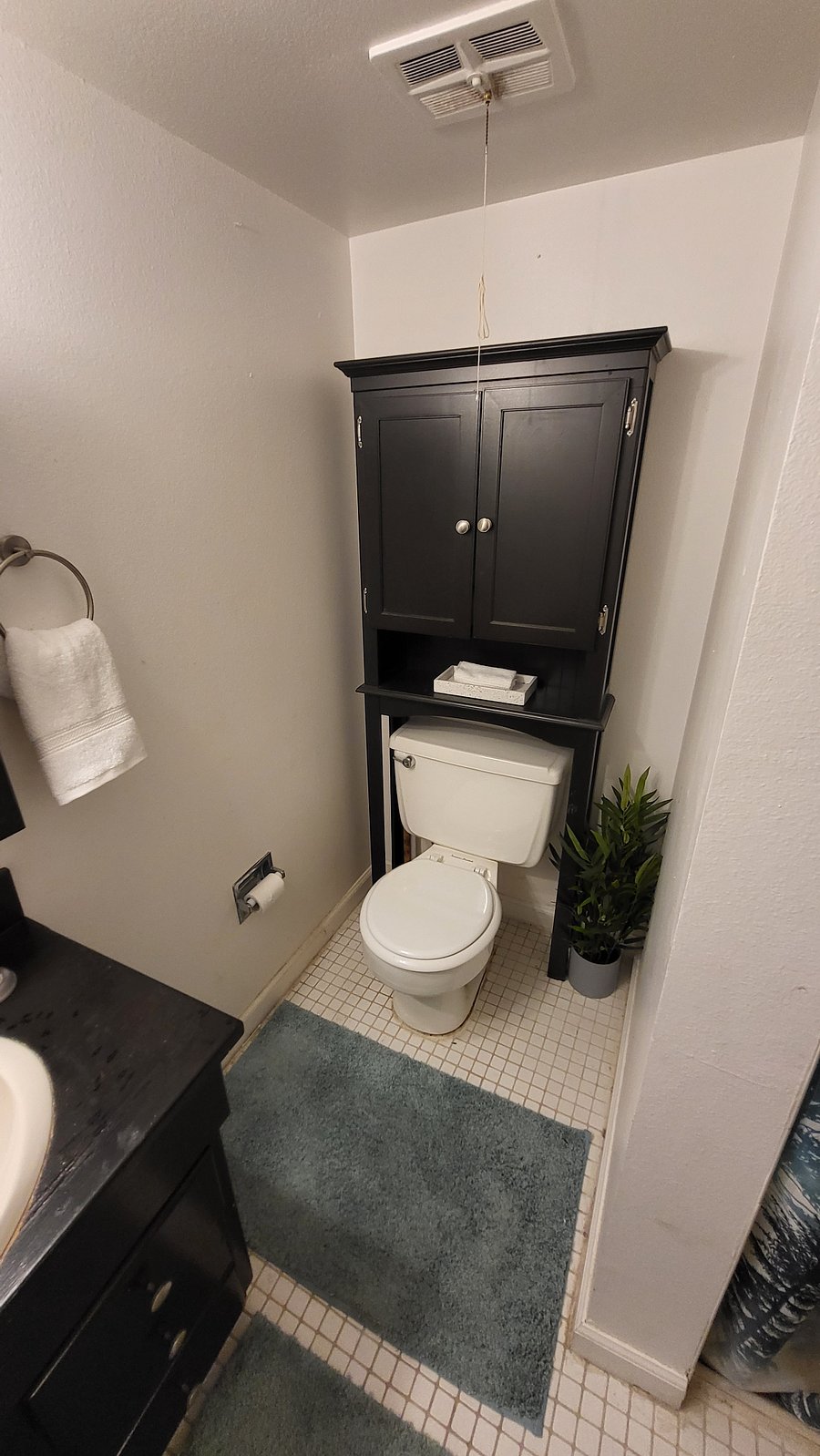 Furnished Finder property 559350_1 photo 28