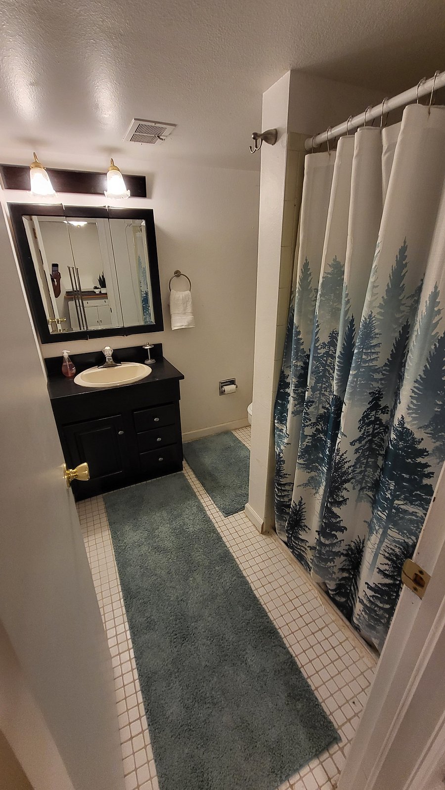 Furnished Finder property 559350_1 photo 27