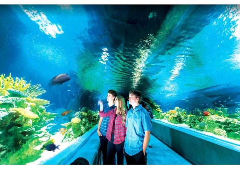 Just 10 min to the Phoenix Zoo & Botanical Gardens