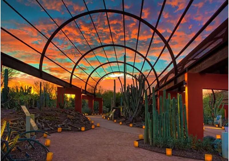 Desert Botanical Gardens directly next door to the Phoenix Zoo to make a day of exploring our plant life and animal life all in one day 3-4 miles away