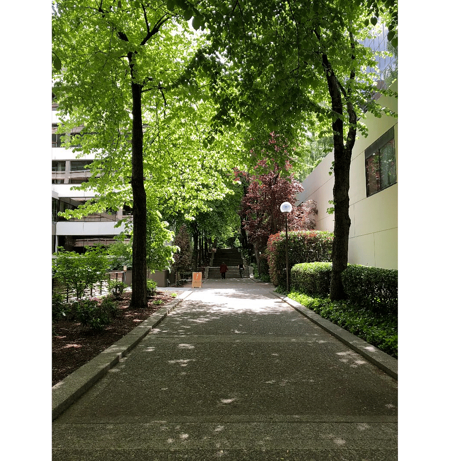 Sidewalk through Halprin Landscape Conservancy